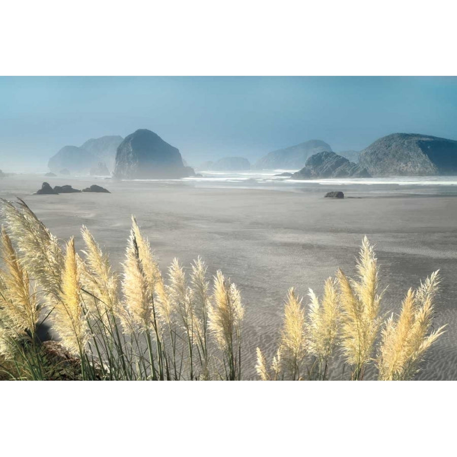 Pampas Beach Poster Print by Dennis Frates-VARPDXFDP100 Image 1