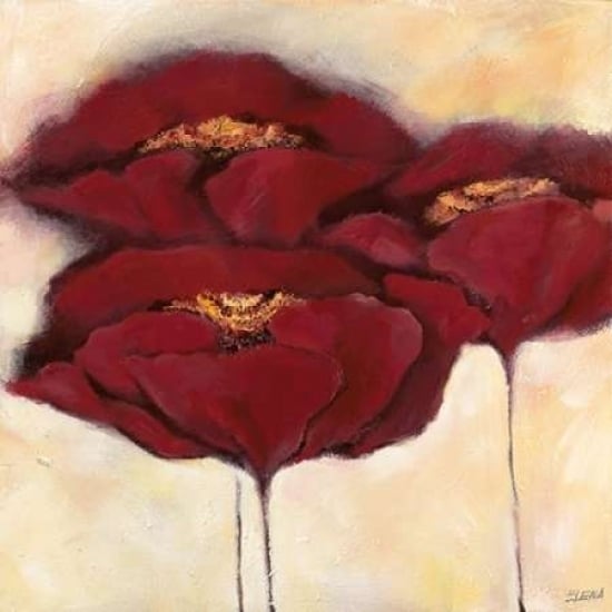 Mohn in Milch I Poster Print by Elena Filatov-VARPDXFE27X Image 2