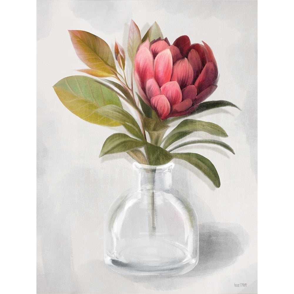 Protea Posie Poster Print by House Fenway House Fenway-VARPDXFEN270 Image 1