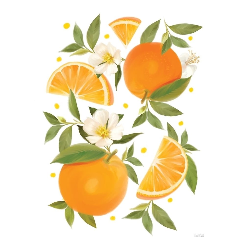 Citrus Orange Botanical by House Fenway-VARPDXFEN365 Image 1