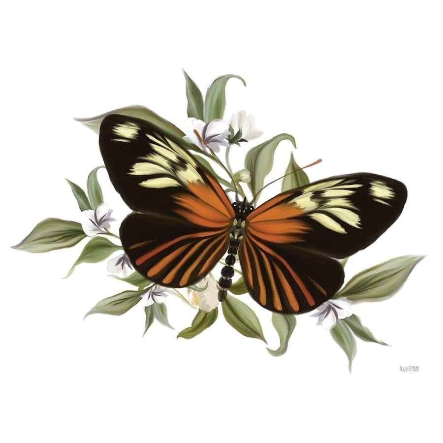 Botanical Butterfly Heliconius by House Fenway-VARPDXFEN485 Image 1