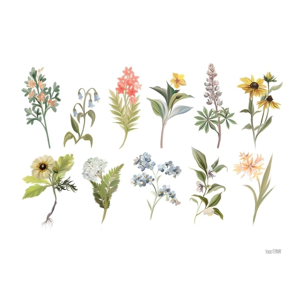 Spring Botanicals Poster Print - House Fenway-VARPDXFEN622 Image 1