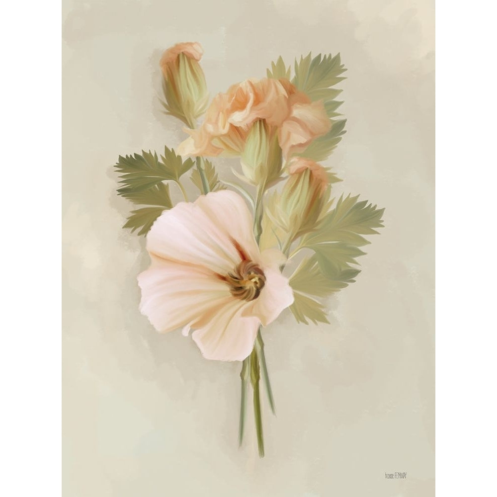 Peach Carnations II Poster Print - Fenway House-VARPDXFEN842 Image 1