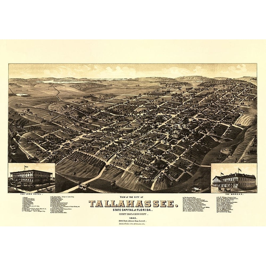 Tallahassee Florida - Beck 1885 Poster Print by Beck Beck-VARPDXFLTA0002 Image 1