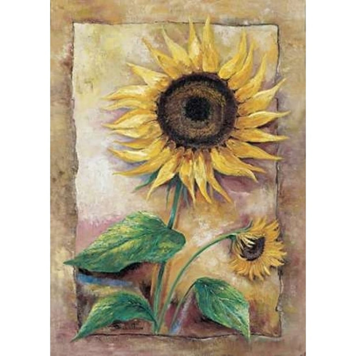 Beautiful sunflower Poster Print by Rian Withaar-VARPDXFR078 Image 1