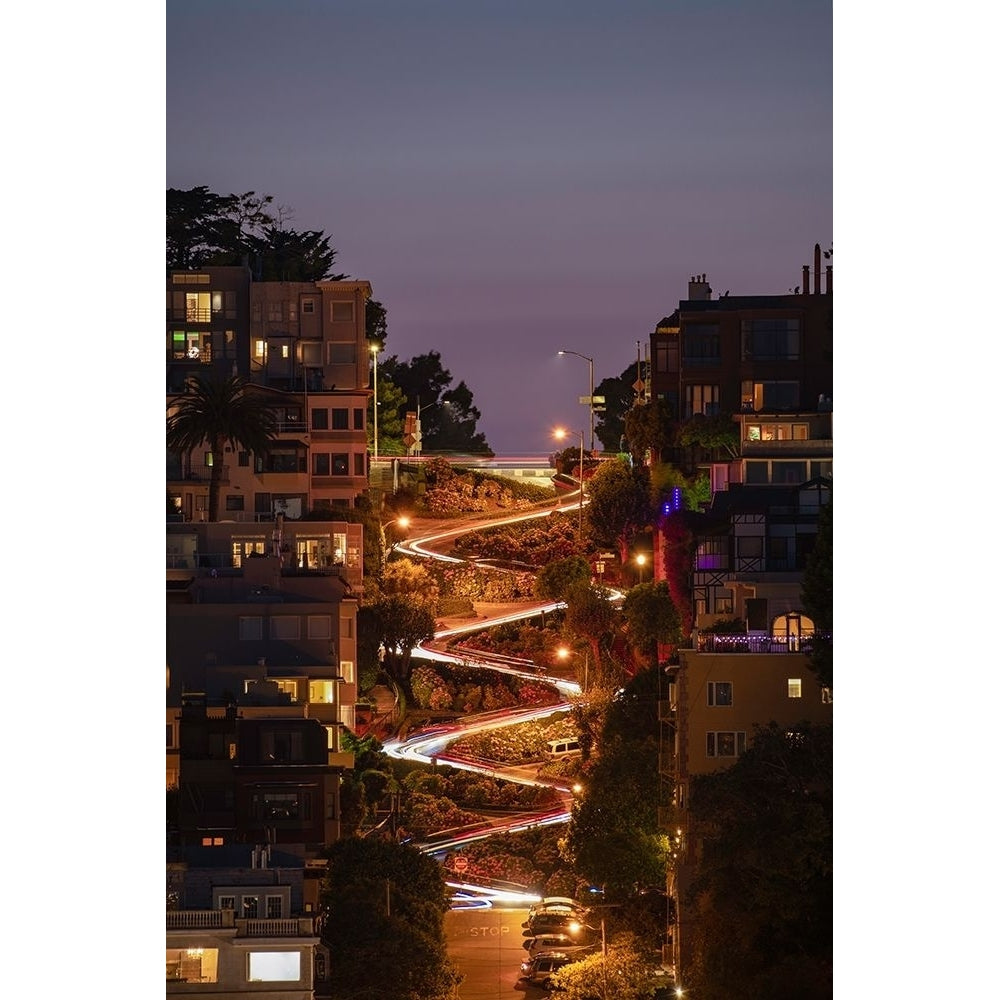 Lombard Street 2 Poster Print by Bruce Getty-VARPDXG2065D Image 1