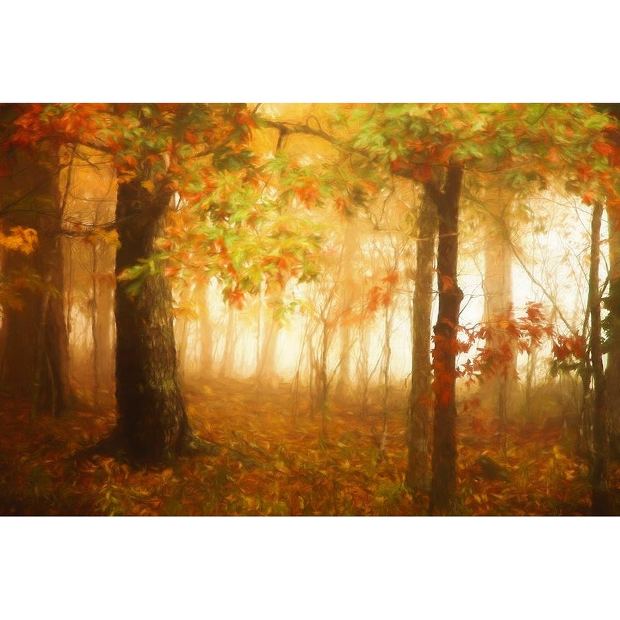 Autumns Rainbow Poster Print - Carrie Ann Grippo-Pike-VARPDXG2211D Image 1