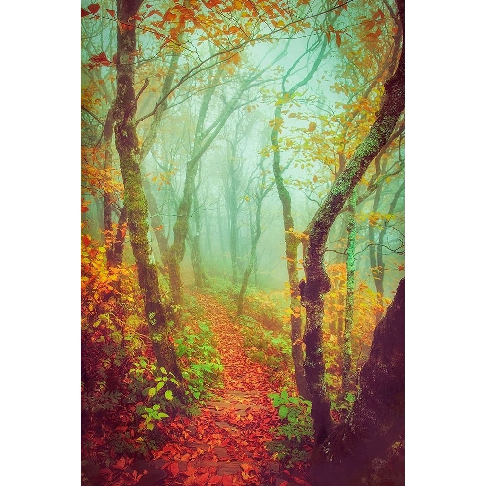 Fairytale Fall Pathway Poster Print - Carrie Ann Grippo-Pike-VARPDXG2231D Image 1