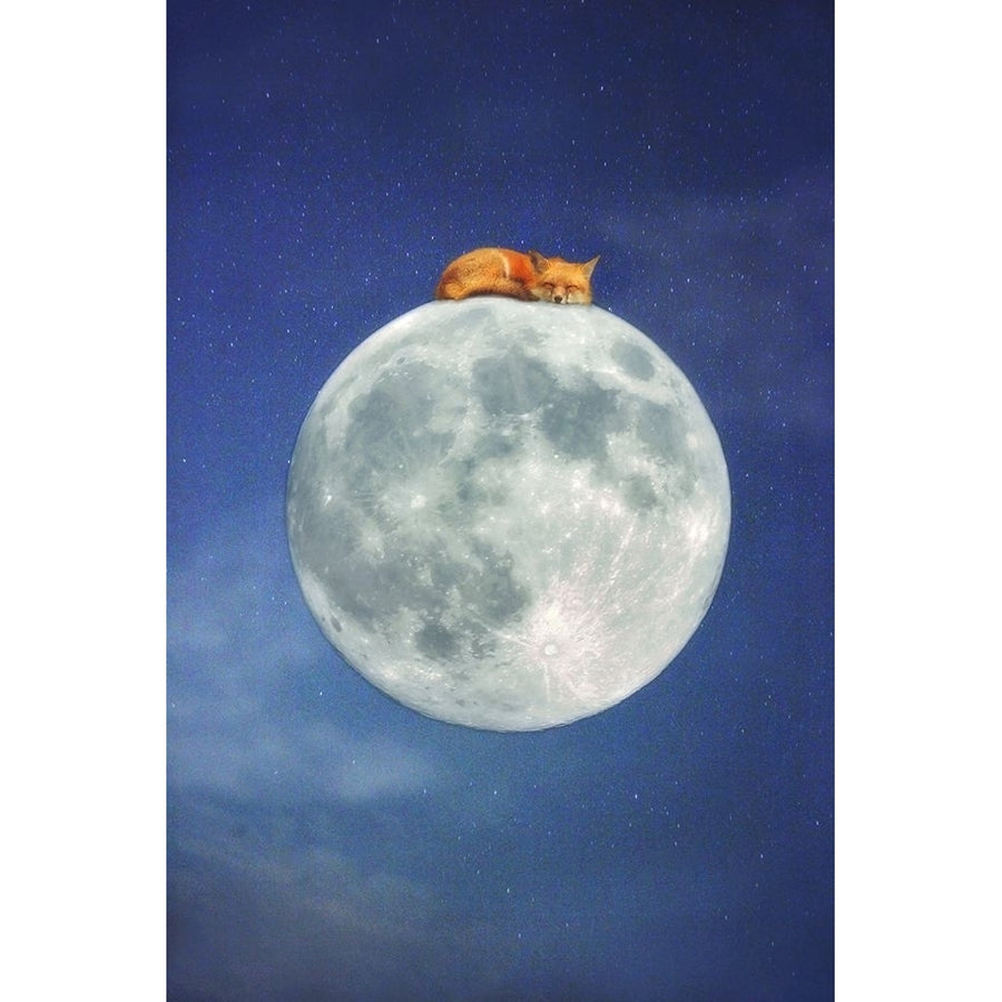 Fox Sleeping on Moon Poster Print - Carrie Ann Grippo-Pike-VARPDXG2234D Image 1