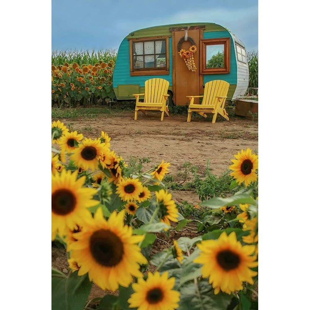 Vintage Camper and Sunflowers 1 Poster Print - Carrie Ann Grippo-Pike-VARPDXG2256D Image 1