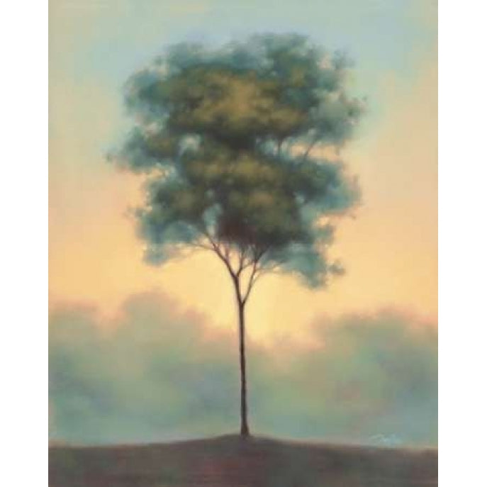 Solitude I Poster Print by Darlou Gams-VARPDXG509D Image 1