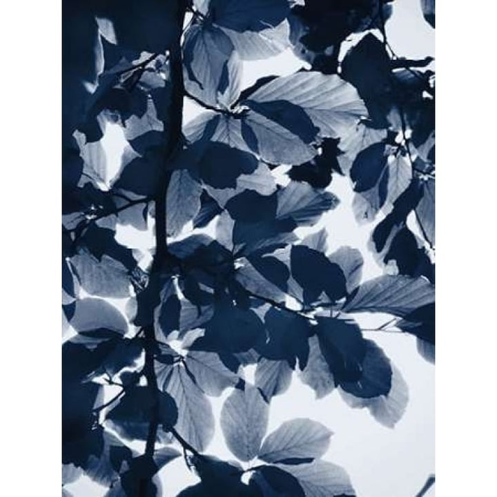 Indigo Leaves Poster Print by Lexie Greer-VARPDXG839D Image 1