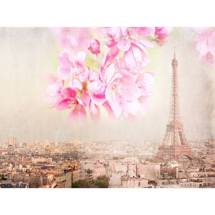 Tour Eiffel Rose Poster Print by Georgianna Lane-VARPDXGA008A Image 1