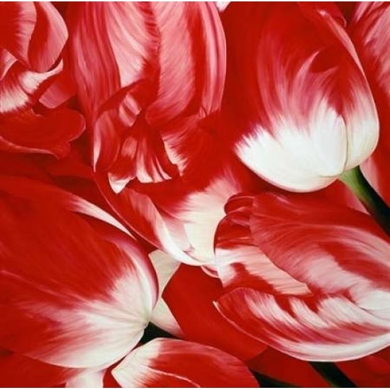 Most Beautiful Tulip III Poster Print by Yvonne Poelstra-Holzhaus-VARPDXGA0100052 Image 2