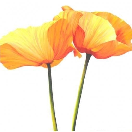 Yellow Poppy Poster Print by Yvonne Poelstra-Holzhaus-VARPDXGA0100056 Image 2