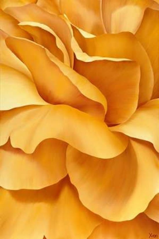 Magnificant Flower I Poster Print by Yvonne Poelstra-Holzhaus-VARPDXGA0100064 Image 1