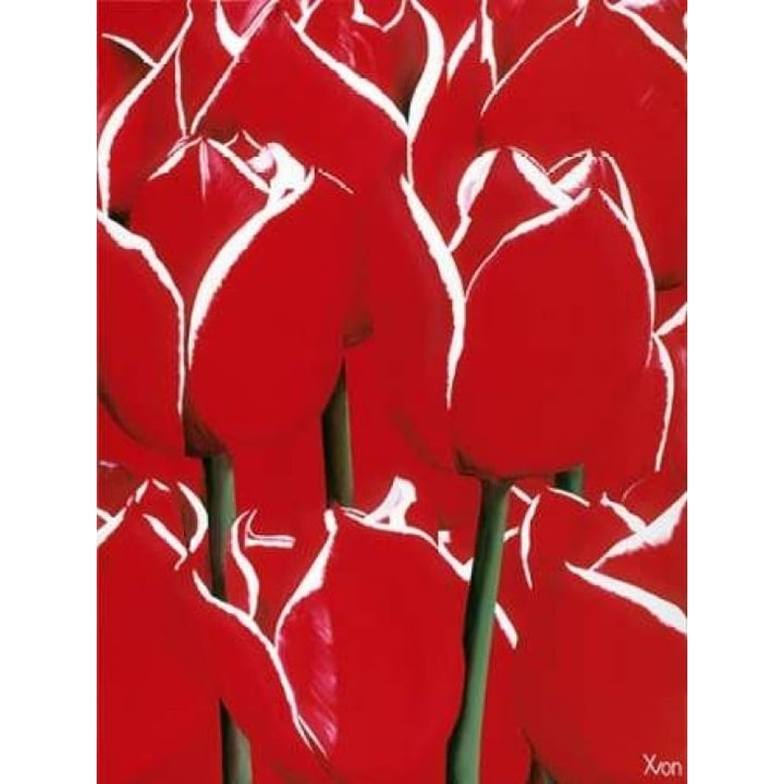 Red and White I Poster Print by Yvonne Poelstra-Holzhaus-VARPDXGA0100062 Image 1