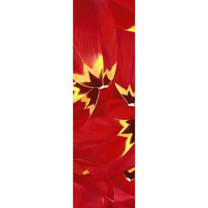 Red and Close to you Poster Print by Yvonne Poelstra-Holzhaus-VARPDXGA0100087 Image 1