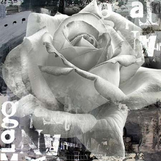 White Rose II Poster Print by Micha Baker-VARPDXGA0100163 Image 2