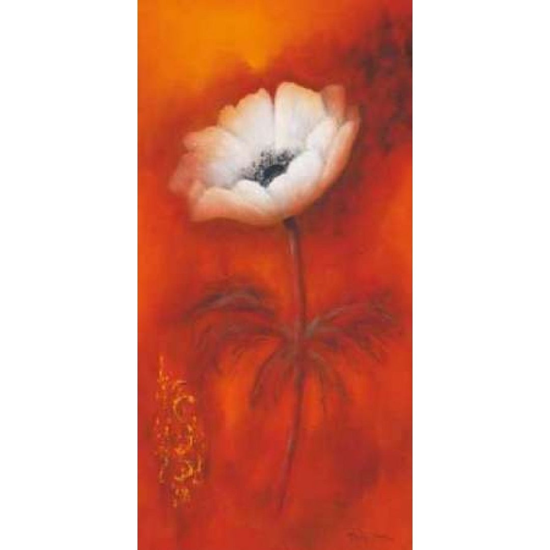 Anemone I Poster Print by Betty Jansma-VARPDXGA0102441 Image 1