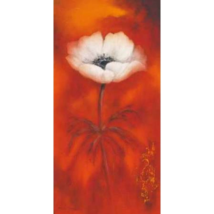 Anemone II Poster Print by Betty Jansma-VARPDXGA0102442 Image 2