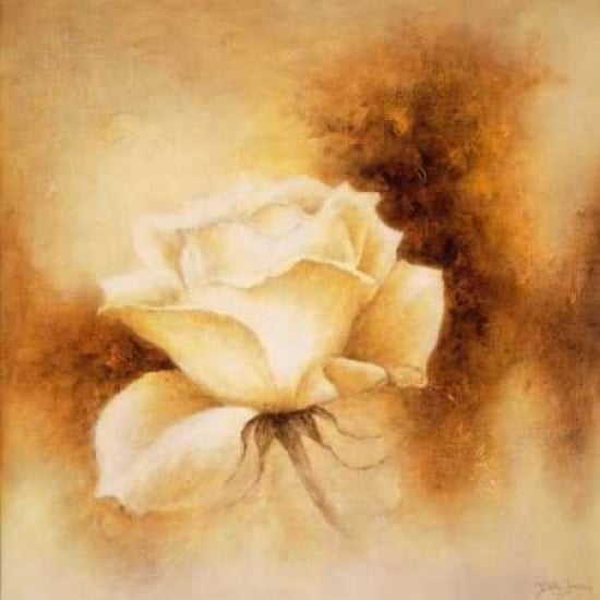 White Rose II Poster Print by Betty Jansma-VARPDXGA0116108 Image 1