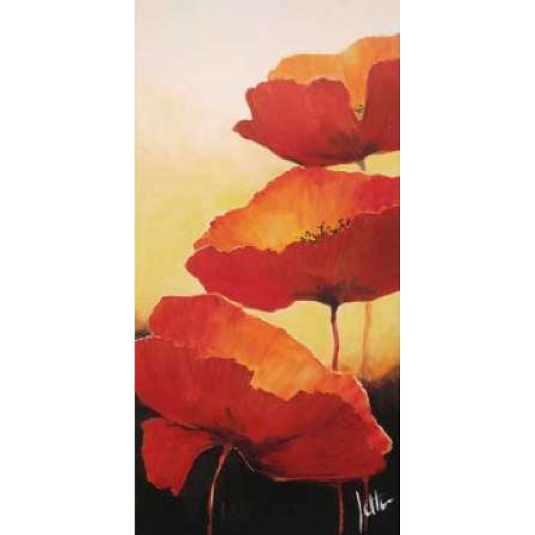 Three red popppies II Poster Print by Jettie Roseboom-VARPDXGA0116116 Image 1