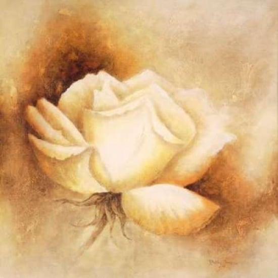 White rose I Poster Print by Betty Jansma-VARPDXGA0116107 Image 2