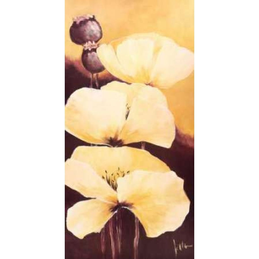 Yellow Poppies III Poster Print by Jettie Roseboom-VARPDXGA0116132 Image 1