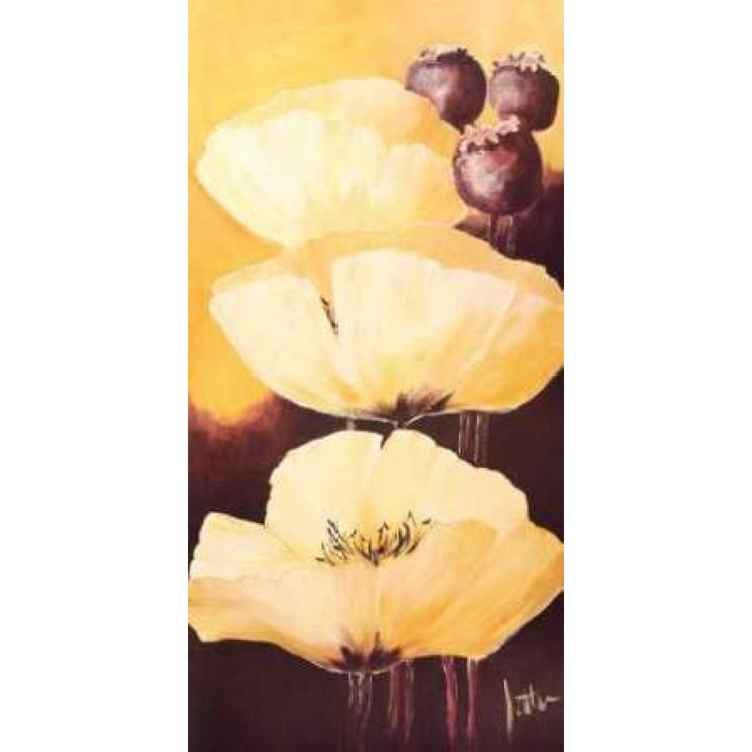 Yellow Poppies IV Poster Print by Jettie Roseboom-VARPDXGA0116133 Image 2