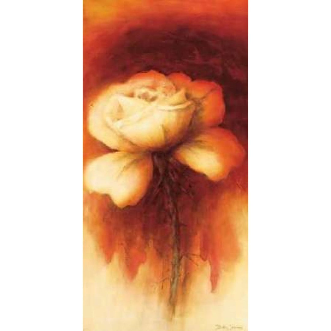 Roses I Poster Print by Betty Jansma-VARPDXGA0116156 Image 2