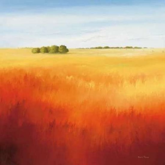 Red field II Poster Print by Hans Paus-VARPDXGA0116214 Image 2