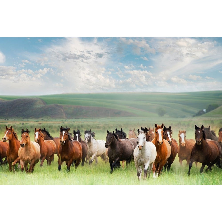 Horse Stampede Poster Print - Georgianna Lane-VARPDXGA013A Image 1