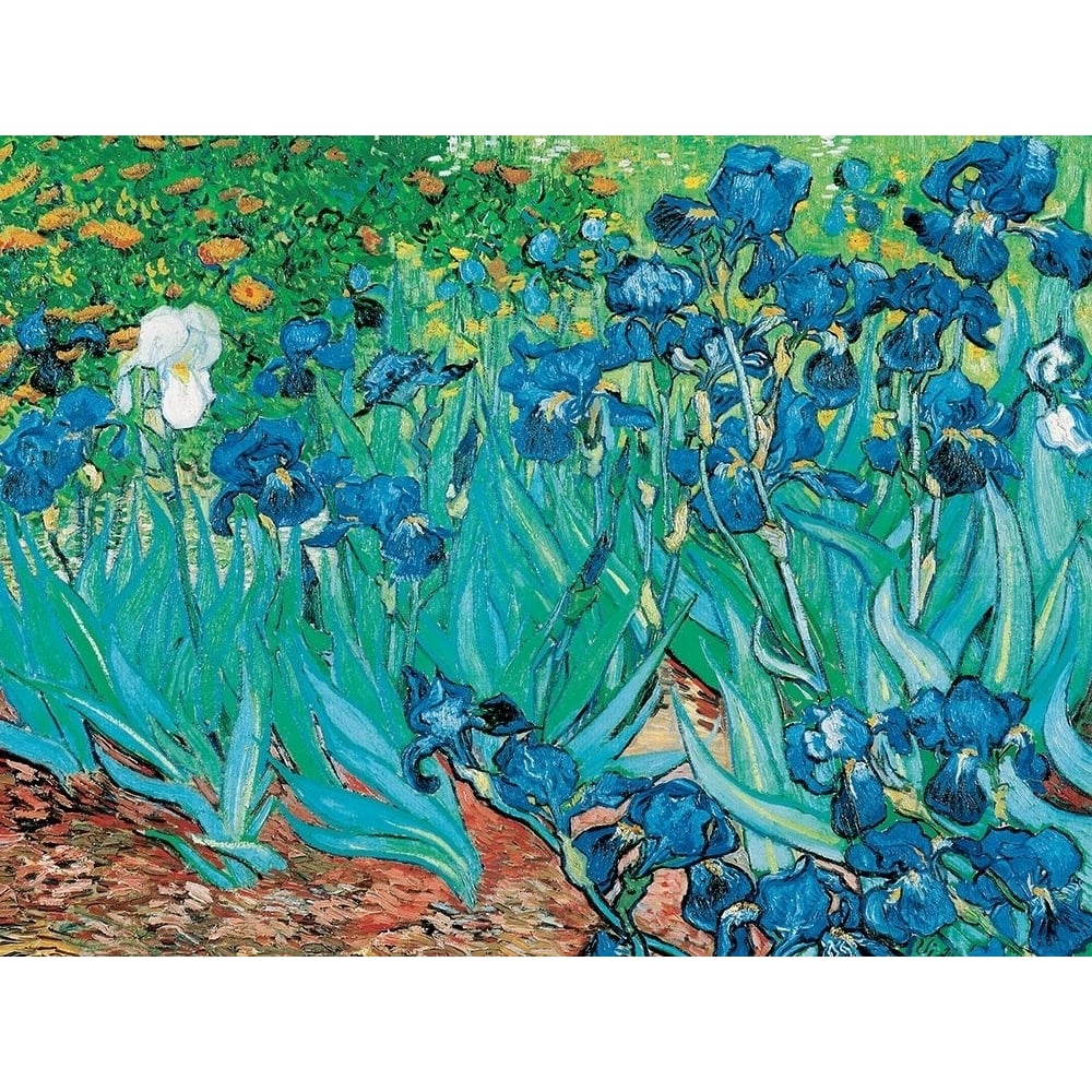 Iris Poster Print by Vincent van Gogh-VARPDXGC022 Image 1