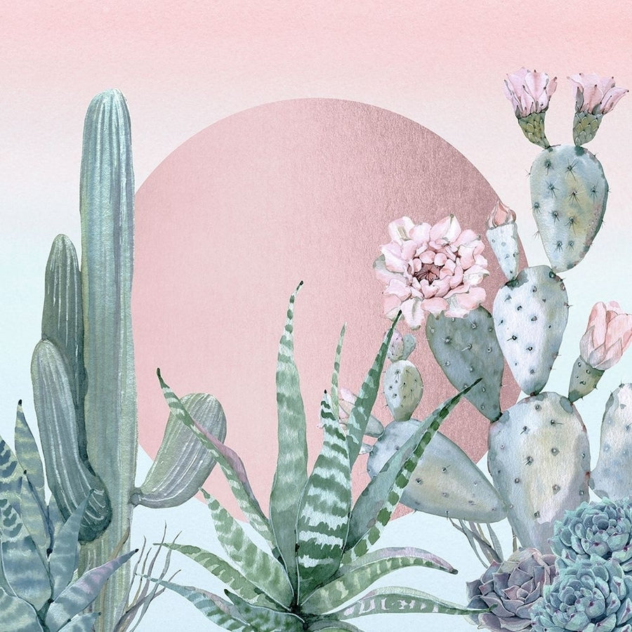 Desert Sunset Cactuses and Succulents Poster Print by Nature Magick Nature Magick-VARPDXGI035CBLUSH Image 1