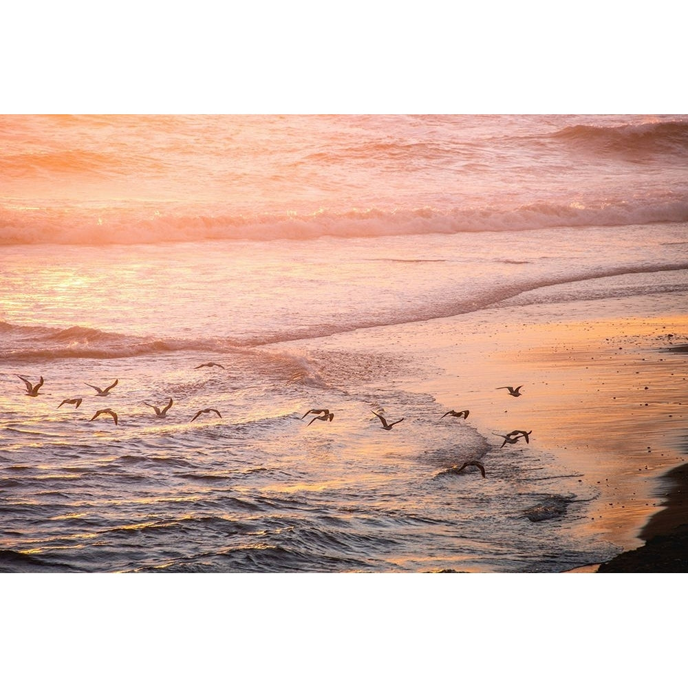 Ocean Beach and Sunset Seagulls Poster Print - Magick Nature-VARPDXGI324A Image 1