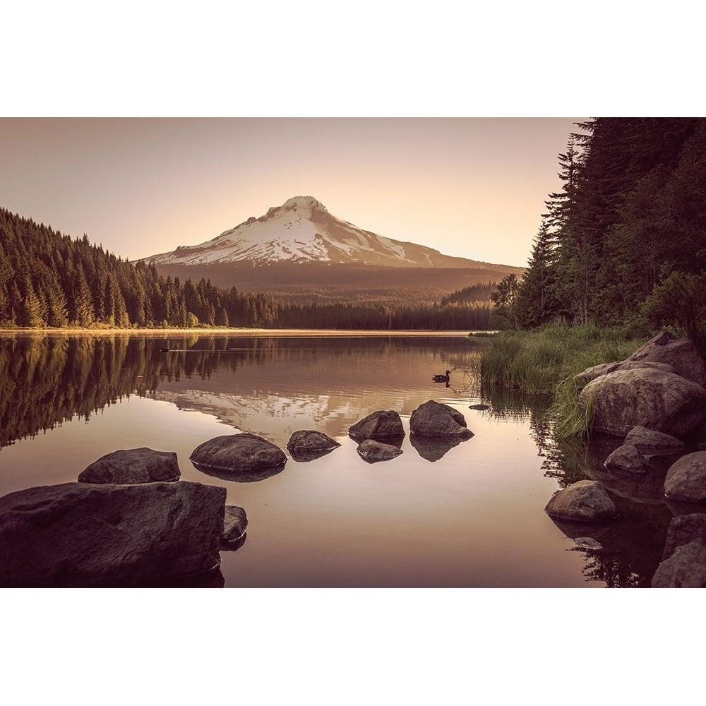 Mountain Forest Lake Sunrise Poster Print by Nature Magick Nature Magick-VARPDXGI445A Image 1