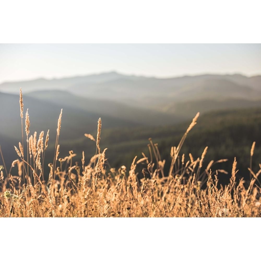 Mountain and Fall Fields Poster Print - Nature Magick-VARPDXGI414A Image 1