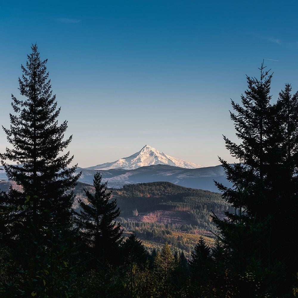 Mountain Through the Forest Poster Print by Nature Magick Nature Magick-VARPDXGI458A Image 1