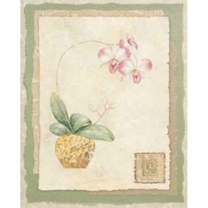 Orchid I Poster Print by Pamela Gladding-VARPDXGLA146 Image 2