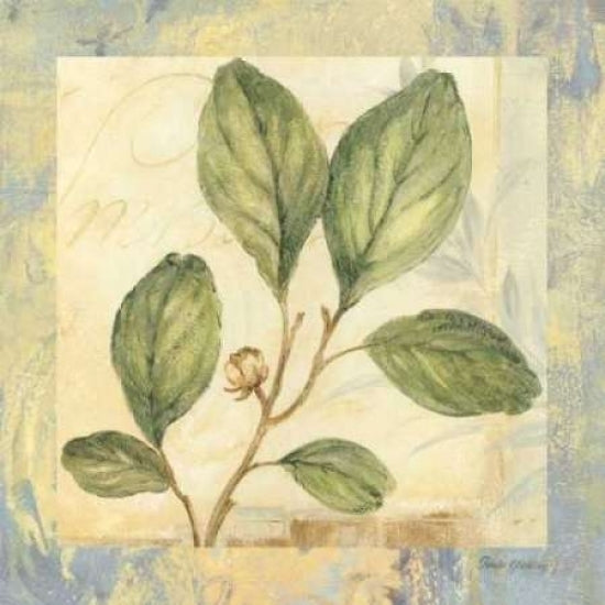 Leaf Botanicals IV Poster Print by Pamela Gladding-VARPDXGLA404 Image 2