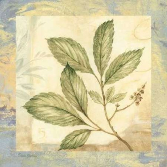 Leaf Botanicals II Poster Print by Pamela Gladding-VARPDXGLA402 Image 2