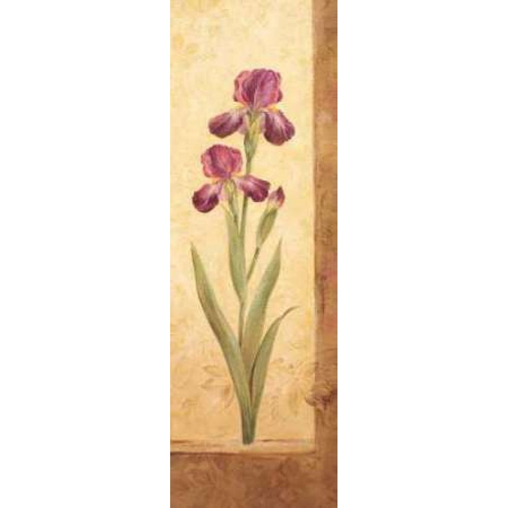 Grandiflora II Poster Print by Pamela Gladding-VARPDXGLA442 Image 2