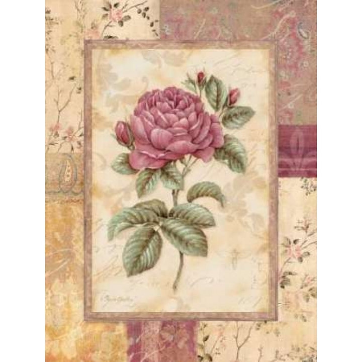 Provence Rose I Poster Print by Pamela Gladding-VARPDXGLA480 Image 2