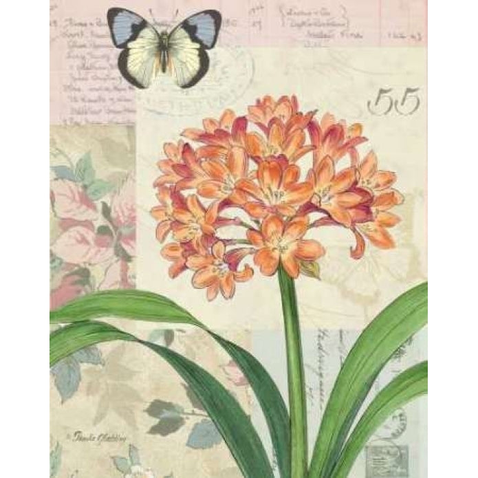 Clivia Floral Collage Poster Print by Pamela Gladding-VARPDXGLA542 Image 2