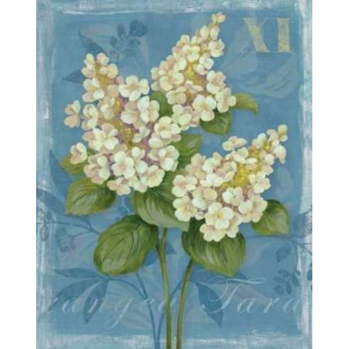 Tardiva Hydrangea Poster Print by Pamela Gladding-VARPDXGLA559 Image 1