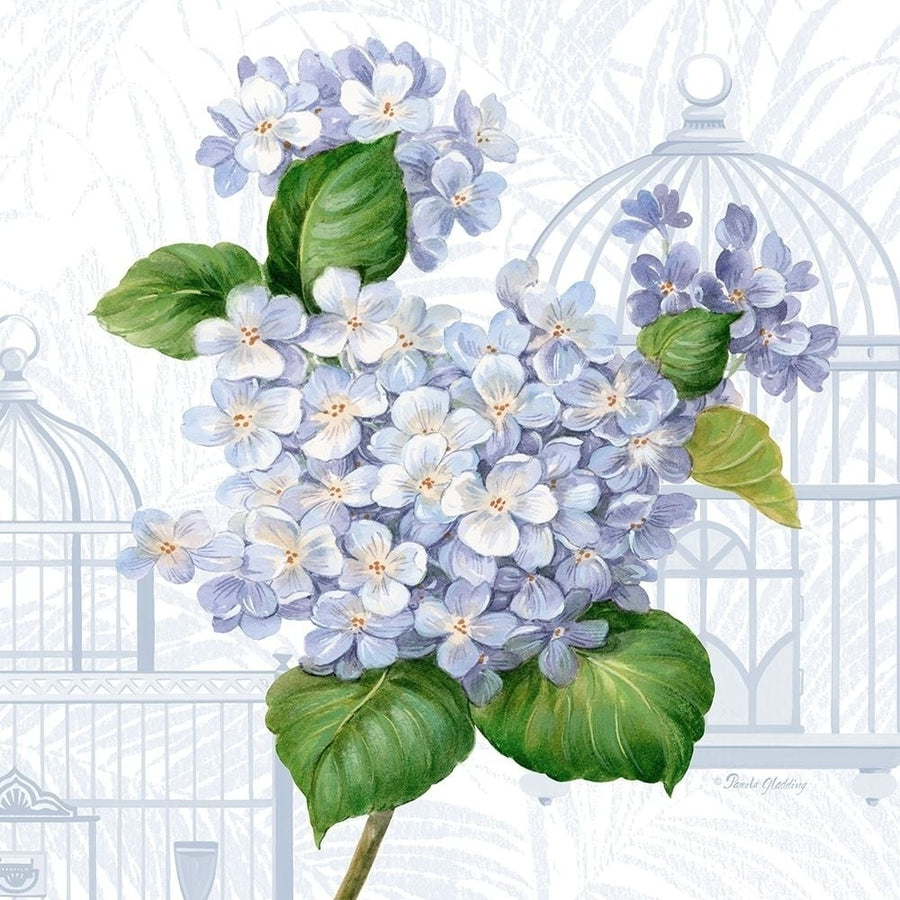 Hydrangea Cages I Poster Print by Pamela Gladding-VARPDXGLA626 Image 1