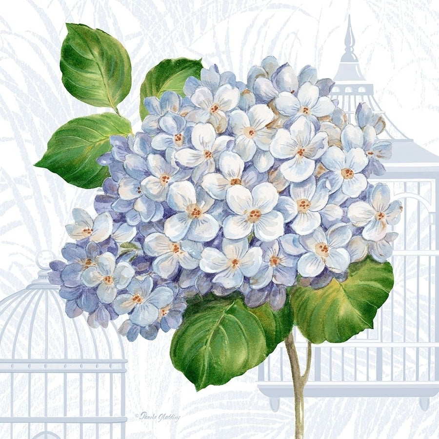 Hydrangea Cages II Poster Print by Pamela Gladding-VARPDXGLA627 Image 1