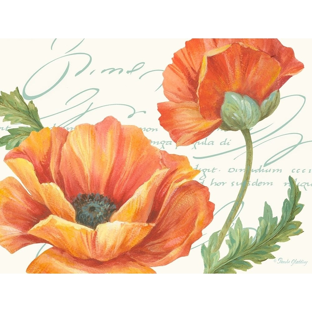 Orange Poppies II Poster Print by Pamela Gladding-VARPDXGLA635 Image 1