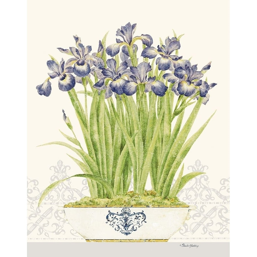 Imperial Irises by Pamela Gladding-VARPDXGLA644 Image 1